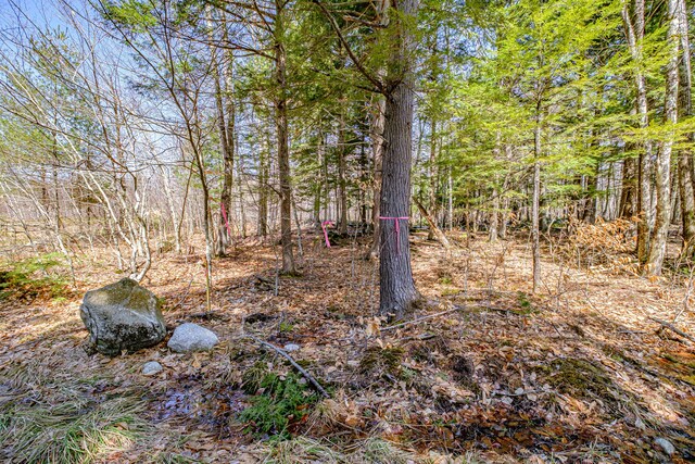 LOTS72-74 Lovell Rd, Fryeburg, ME 04037 - photo 73
