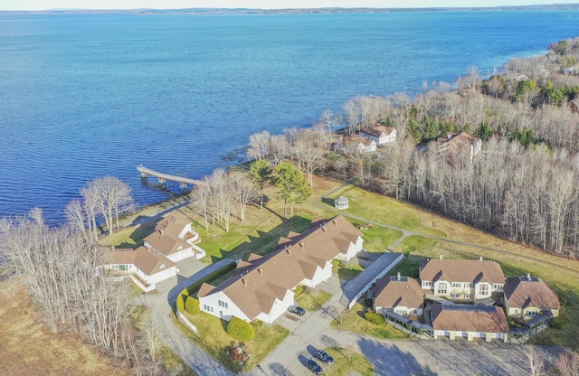 drone / aerial view with a residential view and a water view