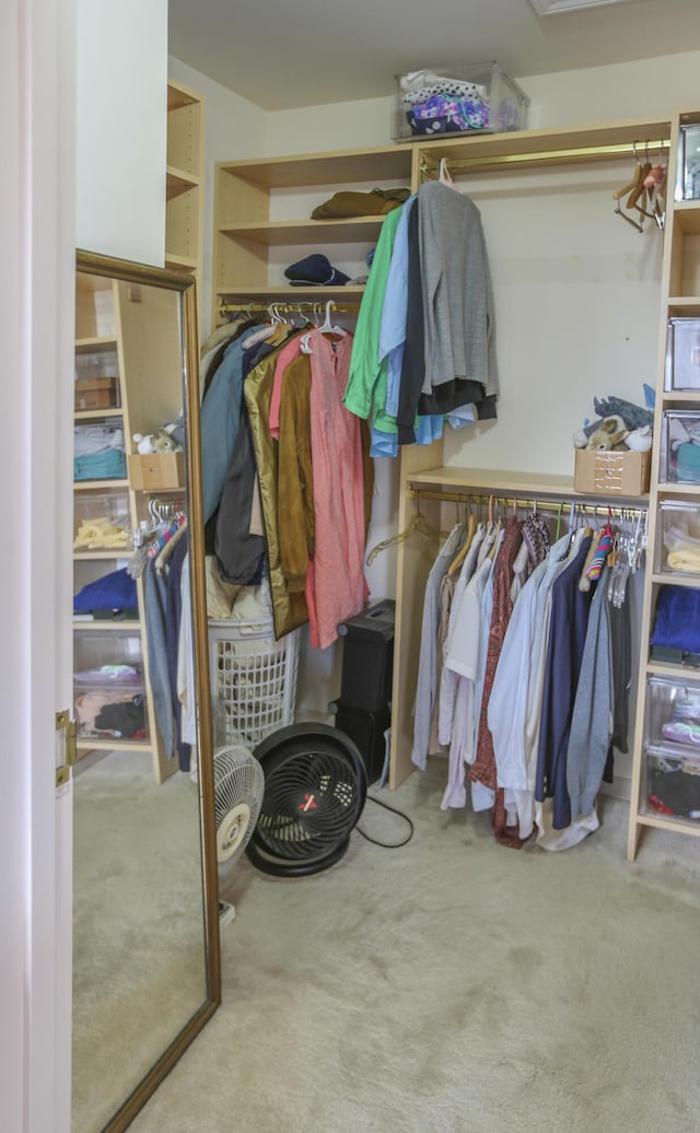 walk in closet with carpet