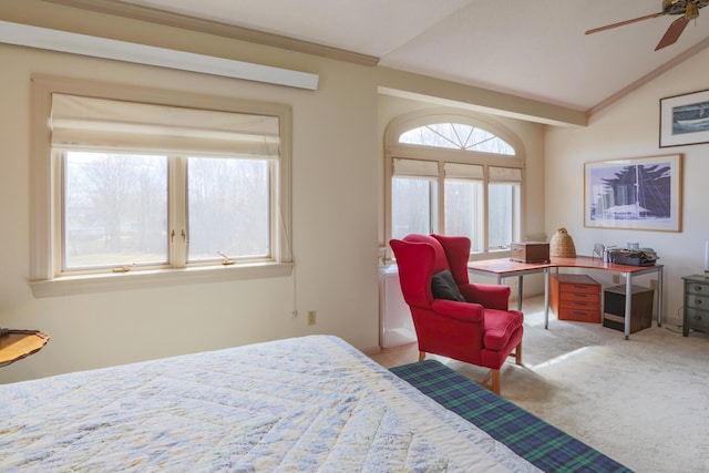 carpeted bedroom featuring lofted ceiling, a ceiling fan, and crown molding