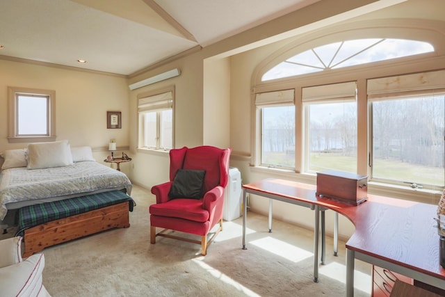 bedroom with carpet floors