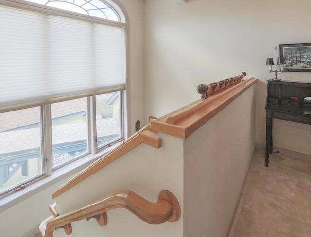 stairway with carpet floors and baseboards