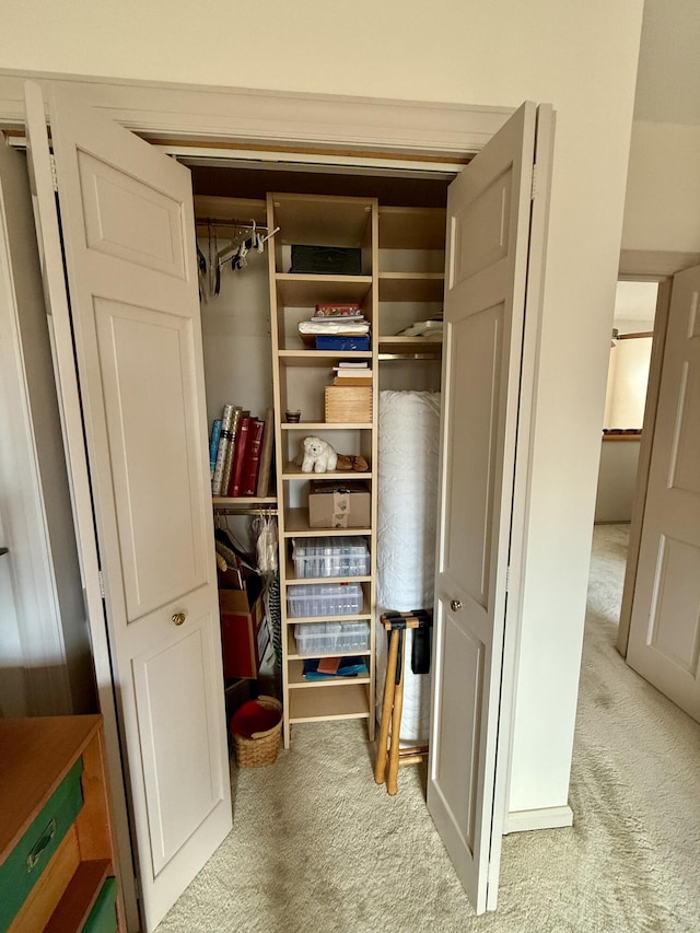 view of closet