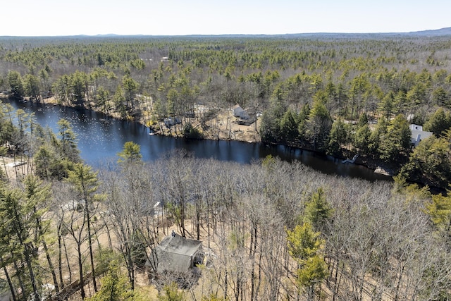 27 Miller Ln, Alfred, ME 04002 - drone / aerial view with a water view and a wooded view
