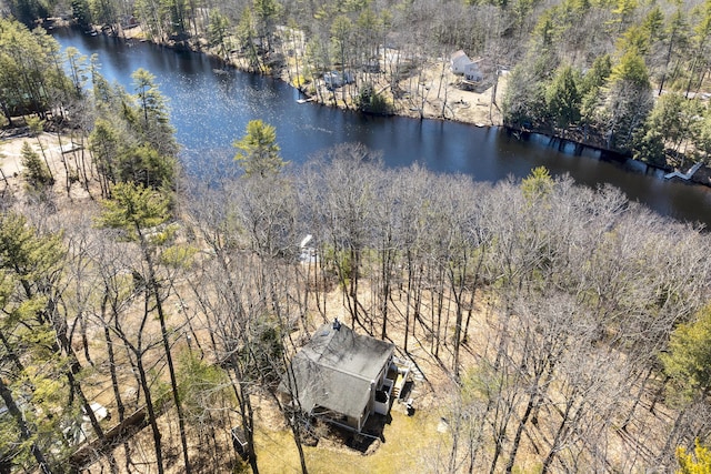27 Miller Ln, Alfred, ME 04002 - aerial view featuring a wooded view and a water view