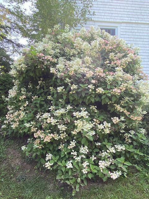 618 Main St, Caribou, ME 04736 - photo 32