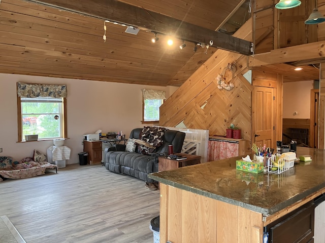 44 Webb Pond Rd, Eastbrook, ME 04634 - living area with track lighting, wooden walls, wood ceiling, lofted ceiling, and light wood-type flooring