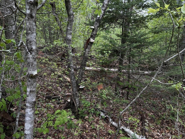 696 Lebanon Rd, Winterport, ME 04496