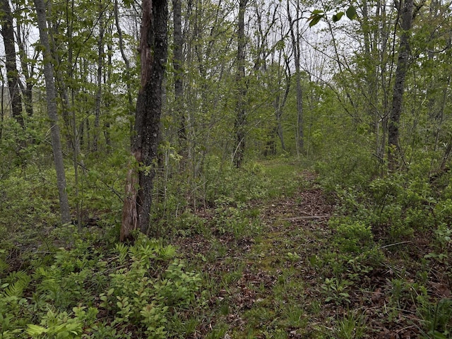 696 Lebanon Rd, Winterport, ME 04496