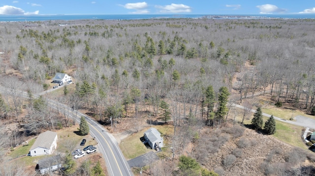 aerial view with a forest view