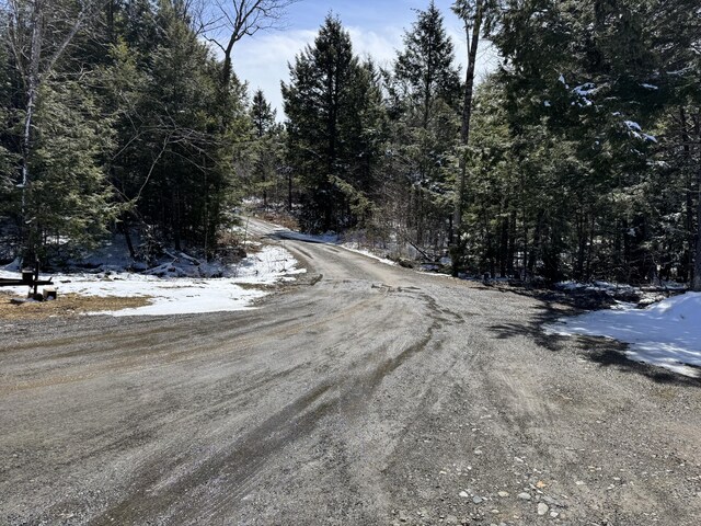 441 Works Rd, Jackson, ME 04921 - view of road