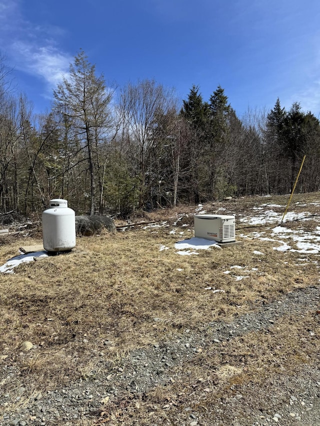 441 Works Rd, Jackson, ME 04921 - view of yard