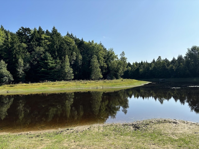 4 Tee Rd, Mariaville, ME 04605 - photo 4