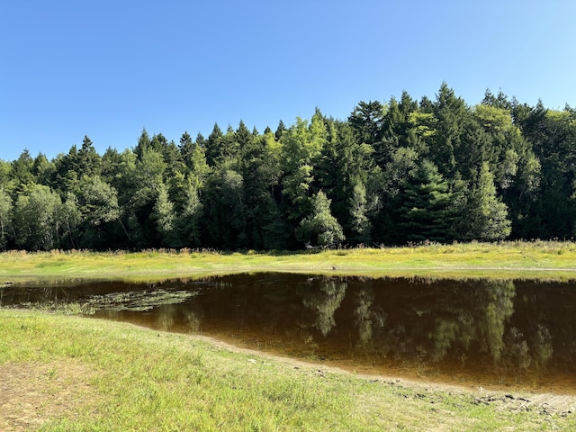 4 Tee Rd, Mariaville, ME 04605 - photo 11