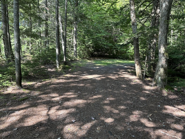4 Tee Rd, Mariaville, ME 04605 - photo 26