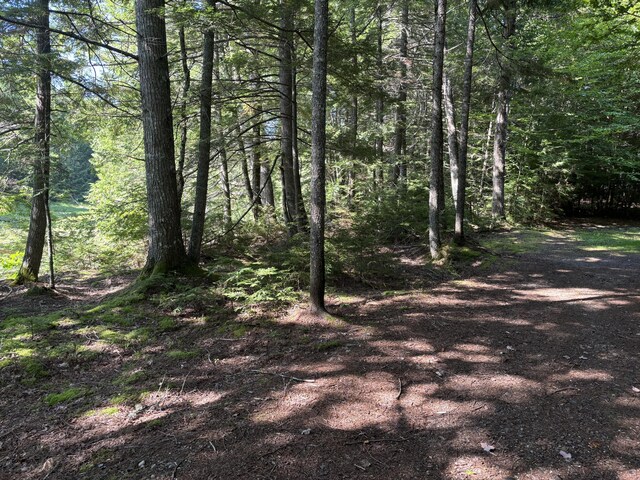 4 Tee Rd, Mariaville, ME 04605 - photo 27