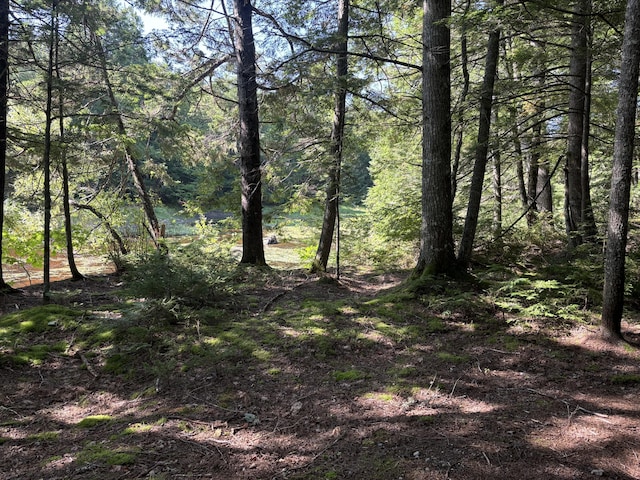 4 Tee Rd, Mariaville, ME 04605 - photo 28