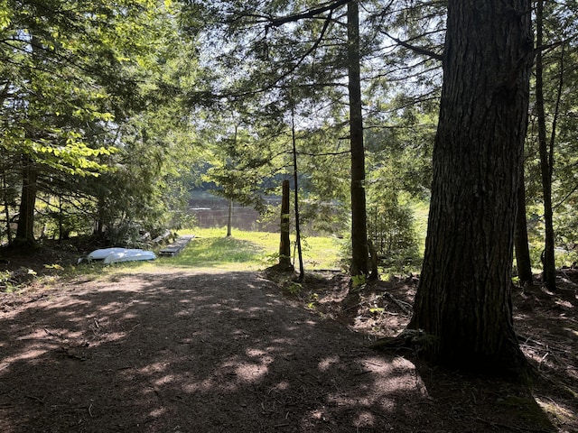 4 Tee Rd, Mariaville, ME 04605 - photo 29