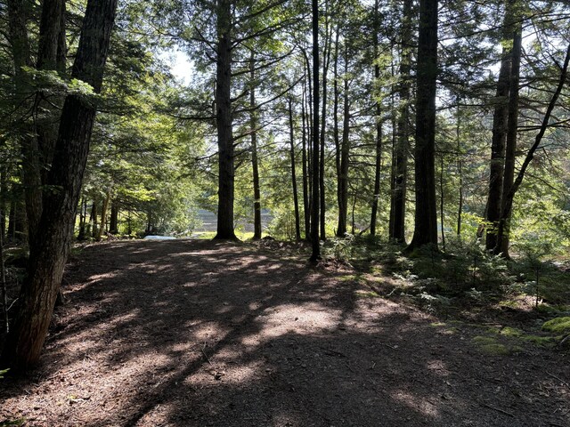 4 Tee Rd, Mariaville, ME 04605 - photo 31