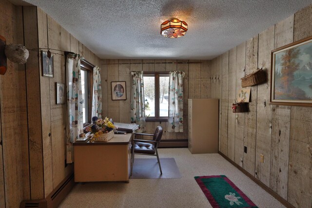 office area featuring wood walls, light carpet, and a textured ceiling