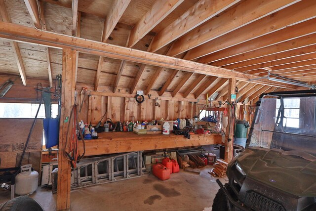 attic with a healthy amount of sunlight