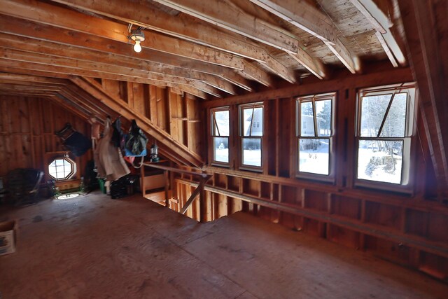 unfinished attic featuring a healthy amount of sunlight