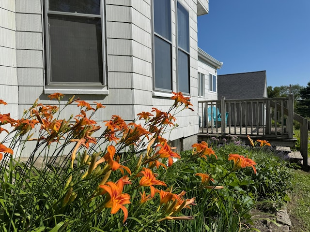 219 Talbot Ave, Rockland, ME 04841 - photo 5