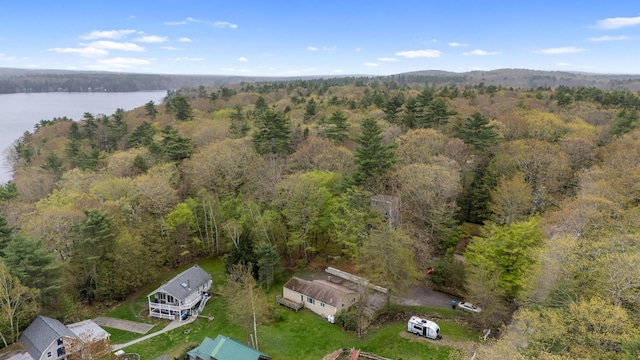 4 Peaceful Way, Windham, ME 04062 - view of property location with a heavily wooded area and a large body of water