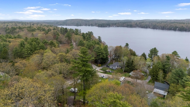 4 Peaceful Way, Windham, ME 04062 - aerial view of property's location with a forest and a large body of water