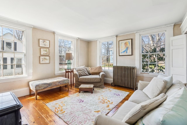 living area featuring radiator, baseboards, crown molding, and wood finished floors