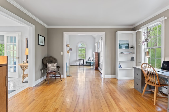 10 Thistleberry Ln, York, ME 03909 - home office with light wood-style flooring and crown molding