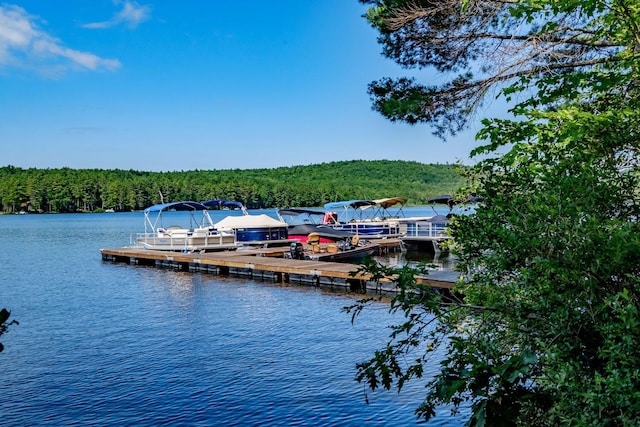 15 Summit Dr, Bridgton, ME 04009 - view of dock with a water view and a view of trees