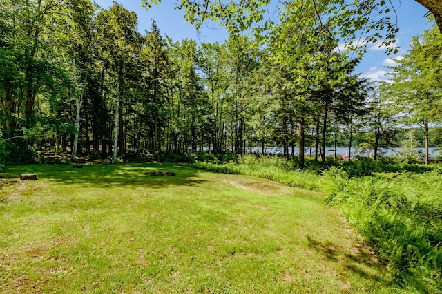 15 Summit Dr, Bridgton, ME 04009 - view of yard