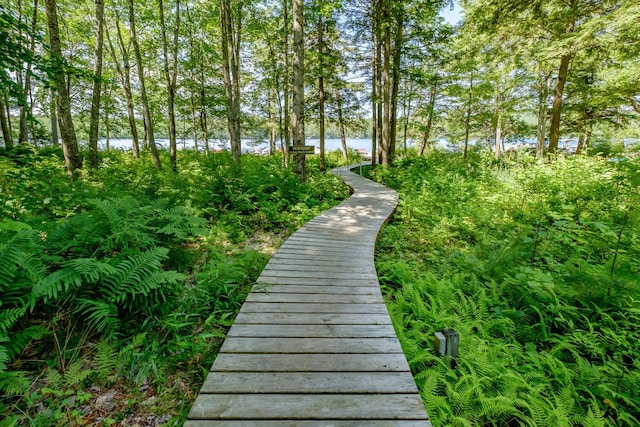 15 Summit Dr, Bridgton, ME 04009 - view of home's community with a water view