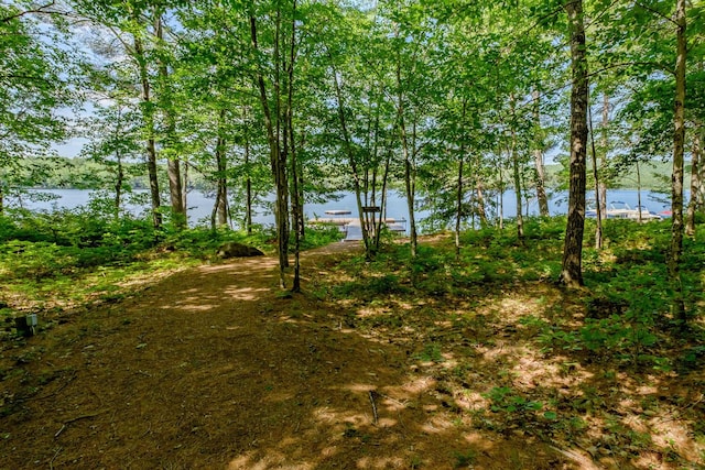 15 Summit Dr, Bridgton, ME 04009 - view of local wilderness with a water view