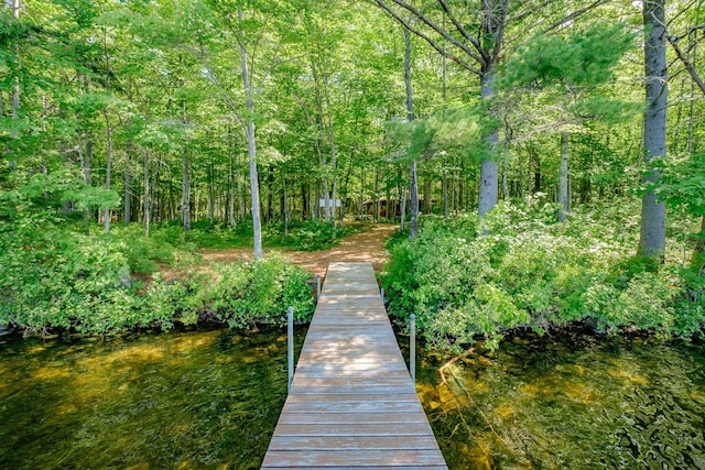 15 Summit Dr, Bridgton, ME 04009 - surrounding community with a dock