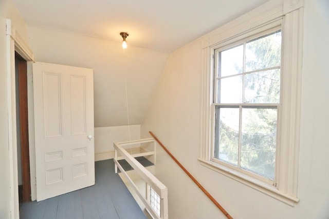 corridor with lofted ceiling, wood finished floors, and a wealth of natural light