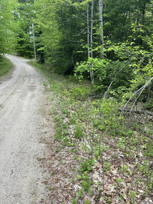 LOT1 Log Yard Way, Brownfield, ME 04010