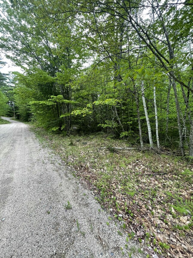 LOT1 Log Yard Way, Brownfield, ME 04010