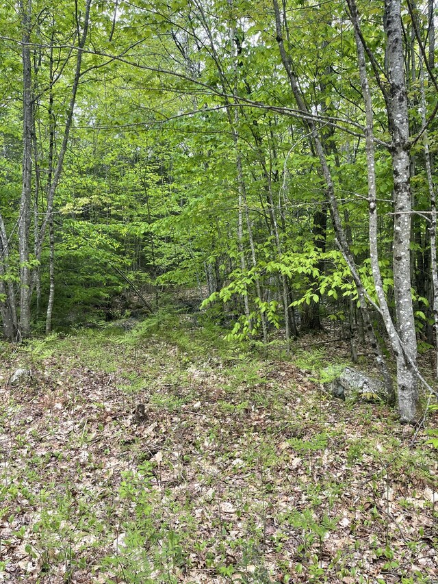 LOT1 Log Yard Way, Brownfield, ME 04010