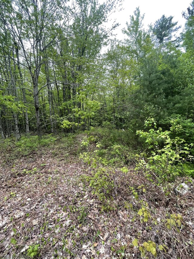 LOT1 Log Yard Way, Brownfield, ME 04010