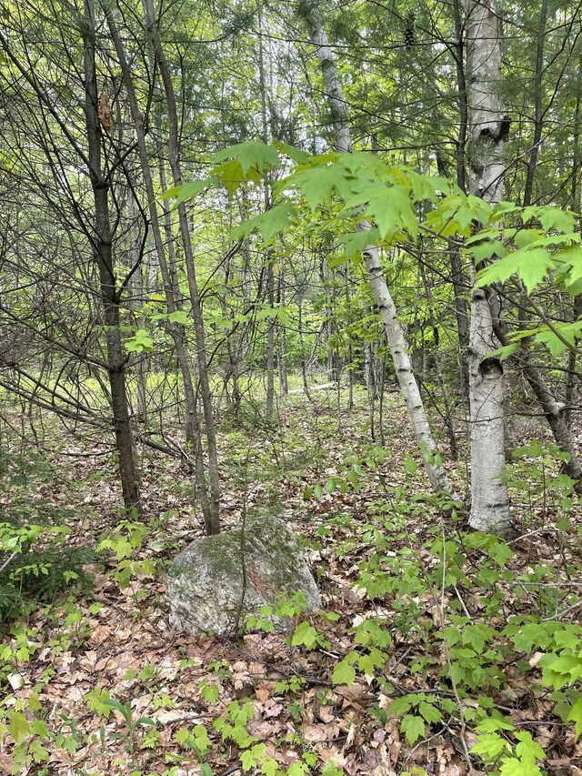 LOT1 Log Yard Way, Brownfield, ME 04010
