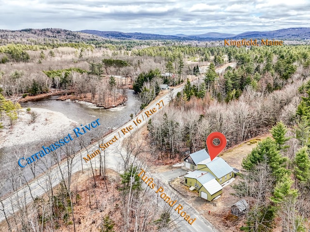 drone / aerial view featuring a mountain view and a view of trees