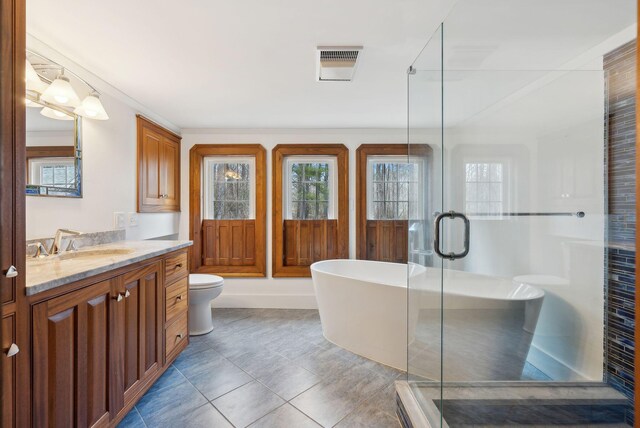 117 Youngs Ridge Rd, Acton, ME 04001 - bathroom with a wealth of natural light, vanity, visible vents, and a stall shower