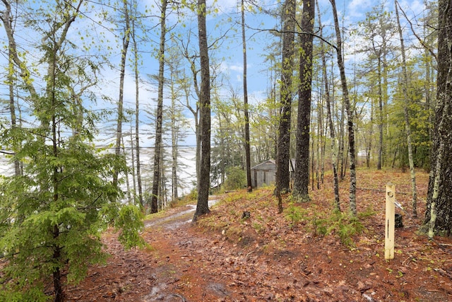 738 13th St, Acton, ME 04001 - view of undeveloped land