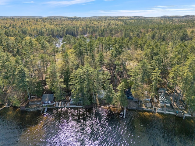 738 13th St, Acton, ME 04001 - aerial view of property and surrounding area with a forest and a large body of water