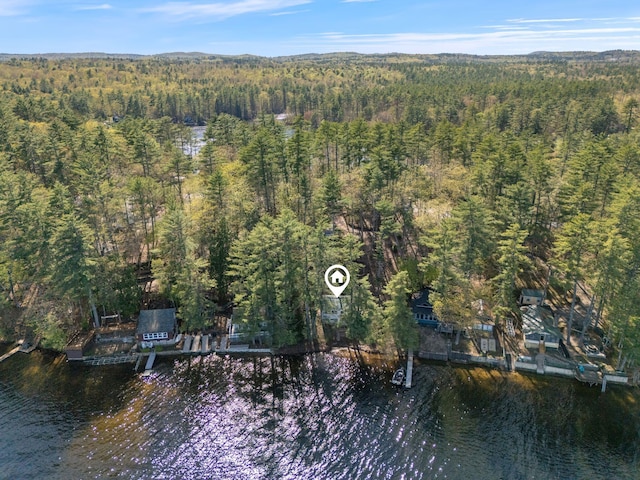 738 13th St, Acton, ME 04001 - aerial overview of property's location featuring a heavily wooded area and a large body of water