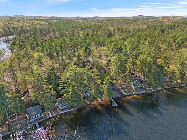 738 13th St, Acton, ME 04001 - aerial view of property and surrounding area with a heavily wooded area and a nearby body of water