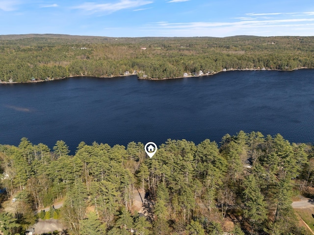 738 13th St, Acton, ME 04001 - aerial view of property's location with a forest and a large body of water
