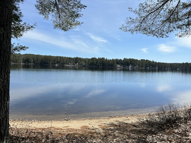 738 13th St, Acton, ME 04001 - water view featuring a forest